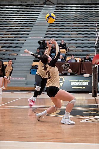 BROOK JONES / WINNIPEG FREE PRESS
The University of Manitoba Bisons play host to the visiting Mount Royal Cougars in Canada West women's volleyball action inside Investors Group Athletic Centre at the University of Manitoba Fort Garry campus in Winnipeg, Man., Friday, Nov. 17, 2023. The Bisons earned a 3-0 (25-13, 25-19, 25-21) victory over the Cougars. Pictured: U of M Bisons setter Katreena Bentley sets the volleyball for Bisons teammate middle Brenna Bedosky during second set action.