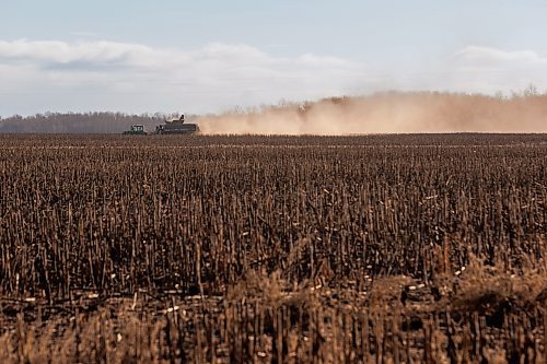 MIKE DEAL / WINNIPEG FREE PRESS
A farmer works on a late sunflower harvest in the Petersfield area Thursday morning.
231123 - Thursday, November 23, 2023.