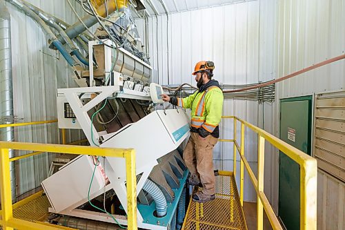 MIKE DEAL / WINNIPEG FREE PRESS
Tyler Kleinsasser, plant superintendent, at a Sortex Z+, an optical colour sorting machine that removes bad grains of rye.
Scoular Grain, is located in the Petersfield area is one of the oldest grain elevators left in the province that runs up to Gimli to deliver grain to Diageo on a privately owned short line railroad.
See Martin Cash story
231123 - Thursday, November 23, 2023.