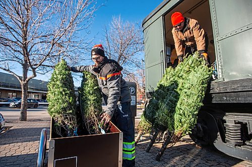 MIKAELA MACKENZIE / WINNIPEG FREE PRESS

Garrett Everett (left) and Anders Swanson with Winnipeg Trails load balsam firs into a cargo bike while setting up a Christmas tree stand at The Forks on Friday, Nov. 24, 2023. All of the proceeds from the sale, which starts today, are going towards the Future Forest initiative (which plants trees along trails in Winnipeg and surrounding areas). Standup.
Winnipeg Free Press 2023.