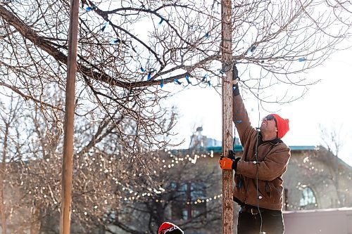 MIKAELA MACKENZIE / WINNIPEG FREE PRESS

Anders Swanson puts up lights while setting up a Christmas tree stand at The Forks on Friday, Nov. 24, 2023. All of the proceeds from the sale, which starts today, are going towards the Future Forest initiative (which plants trees along trails in Winnipeg and surrounding areas). Standup.
Winnipeg Free Press 2023.