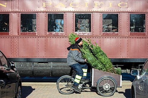 MIKAELA MACKENZIE / WINNIPEG FREE PRESS

Garrett Everett with Winnipeg Trails transports balsam firs from storage to the Christmas Tree stand using a cargo bike at The Forks on Friday, Nov. 24, 2023. All of the proceeds from the sale, which starts today, are going towards the Future Forest initiative (which plants trees along trails in Winnipeg and surrounding areas). Standup.
Winnipeg Free Press 2023.