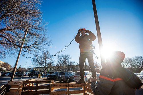 MIKAELA MACKENZIE / WINNIPEG FREE PRESS

Anders Swanson puts up lights while setting up a Christmas tree stand at The Forks on Friday, Nov. 24, 2023. All of the proceeds from the sale, which starts today, are going towards the Future Forest initiative (which plants trees along trails in Winnipeg and surrounding areas). Standup.
Winnipeg Free Press 2023.