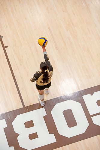BROOK JONES / WINNIPEG FREE PRESS
University of Manitoba Bisons left side Raya Surinx prepares to deliver a jump spin serve during the third set against the visiting Mount Royal Cougars in Canada West women's volleyball action inside Investors Group Athletic Centre at the University of Manitoba Fort Garry campus in Winnipeg, Man., Friday, Nov. 17, 2023. The Bisons earned a 3-0 (25-13, 25-19, 25-21) victory over the Cougars.