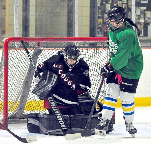 ACC Cougars rookie forward Billie Baranyk looks for a rebound facing goaltender Geneva Penner of Steinbach during an evening practice at Flynn Arena. (Photos by Jules Xavier/The Brandon Sun)