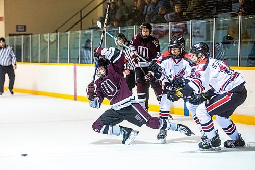 MIKAELA MACKENZIE / WINNIPEG FREE PRESS

Westwood Warrior Brendan Peacock (21) and College Beliveau Barracudas Cashton Beaudry (93) and Hudson De La Ronde (19) go for the puck at the Keith Bodley Arena on Wednesday, Nov. 29, 2023. For sports story.
Winnipeg Free Press 2023.