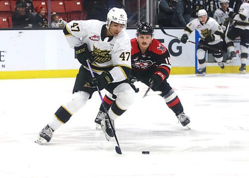 Kayden Sadhra-Kang, shown fending off Moose Jaw Warriors forward Brayden Schuurman during a recent Western Hockey League game, was traded by the Brandon Wheat Kings to the Kelowna Rockets on Thursday afternoon for Jackson DeSouza in a deal involving a pair of overage defencemen. (Perry Bergson/The Brandon Sun)