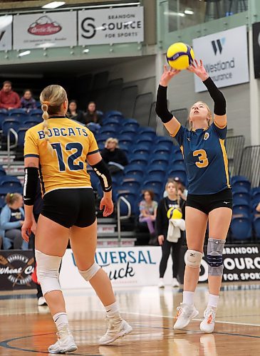 Brooklyn Pratt of the Brandon Bobcats sets the ball against the University of Fraser Valley Cascades at the Healthy Living Centre on Friday evening. (Tim Smith/The Brandon Sun)