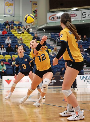 01122023
Avery Burgar #12 of the Brandon Bobcats digs the ball during university volleyball action against the University of Fraser Valley Cascades at the BU Healthy Living Centre on Friday evening.
(Tim Smith/The Brandon Sun)