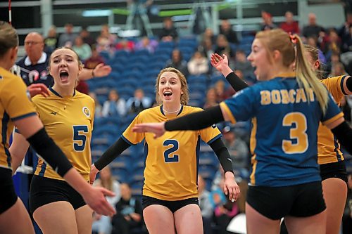 01122023
Carly Thomson #2 (C) of the Brandon Bobcats celebrates a point with teammates during university volleyball action against the University of Fraser Valley Cascades at the BU Healthy Living Centre on Friday evening.
(Tim Smith/The Brandon Sun)