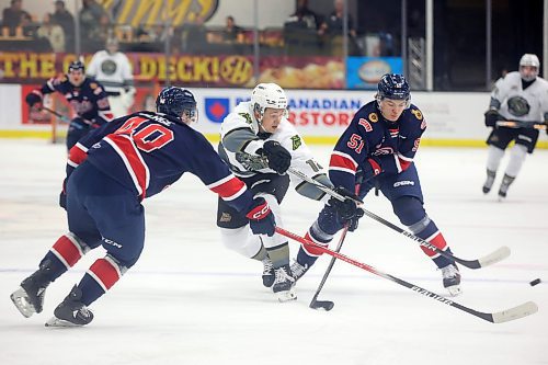 01122023
Rylen Roersma #18 of the Brandon Wheat Kings tries to get the puck between Parker Berge #40 and Jaxsin Vaughn #51 of the Regina Pats during WHL action at Westoba Place on Friday evening.
(Tim Smith/The Brandon Sun)