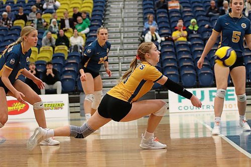 Brandon University Bobcats libero Brooklyn Pratt passes a ball during Canada West women's volleyball action against the Fraser Valley Cascades at the Healthy Living Centre on Saturday. (Thomas Friesen/The Brandon Sun)