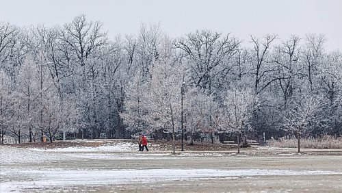 MIKE DEAL / WINNIPEG FREE PRESS
Hoarfrost blankets the landscape of Assiniboine Park Monday afternoon as pedestrians take advantage of the warmer temperatures with the high around -2C.
231204 - Monday, December 04, 2023.