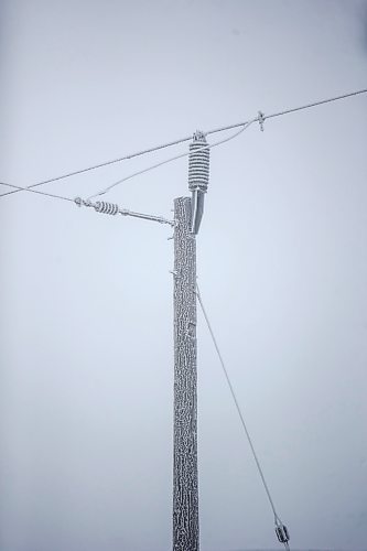 MIKAELA MACKENZIE / WINNIPEG FREE PRESS

Frosty rural power lines disappear into the fog near Morris on Monday, Dec. 4, 2023. For JS hydro story.
Winnipeg Free Press 2023