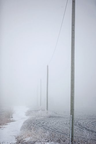 MIKAELA MACKENZIE / WINNIPEG FREE PRESS

Frosty rural power lines disappear into the fog near Morris on Monday, Dec. 4, 2023. For JS hydro story.
Winnipeg Free Press 2023