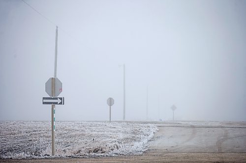 MIKAELA MACKENZIE / WINNIPEG FREE PRESS

Frosty rural power lines disappear into the fog near Morris on Monday, Dec. 4, 2023. For JS hydro story.
Winnipeg Free Press 2023