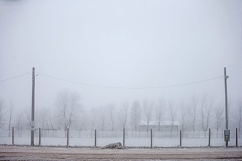 MIKAELA MACKENZIE / WINNIPEG FREE PRESS

Frosty power lines in Morris on Monday, Dec. 4, 2023. For JS hydro story.
Winnipeg Free Press 2023