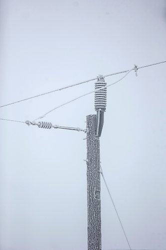 MIKAELA MACKENZIE / WINNIPEG FREE PRESS

Frosty rural power lines disappear into the fog near Morris on Monday, Dec. 4, 2023. For JS hydro story.
Winnipeg Free Press 2023