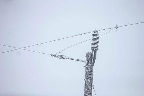 MIKAELA MACKENZIE / WINNIPEG FREE PRESS

Frosty rural power lines disappear into the fog near Morris on Monday, Dec. 4, 2023. For JS hydro story.
Winnipeg Free Press 2023