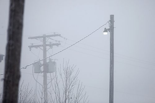 MIKAELA MACKENZIE / WINNIPEG FREE PRESS

Frosty power lines in Morris on Monday, Dec. 4, 2023. For JS hydro story.
Winnipeg Free Press 2023