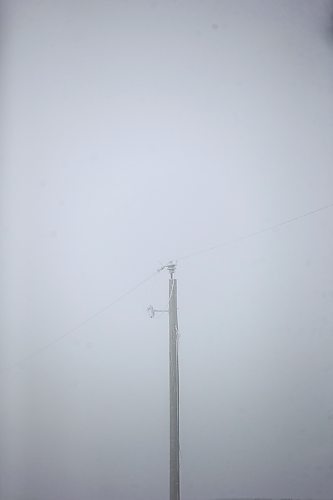 MIKAELA MACKENZIE / WINNIPEG FREE PRESS

Frosty rural power lines disappear into the fog near Morris on Monday, Dec. 4, 2023. For JS hydro story.
Winnipeg Free Press 2023