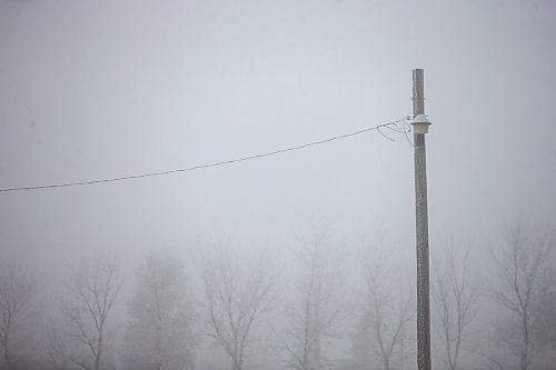 MIKAELA MACKENZIE / WINNIPEG FREE PRESS

Frosty power lines in Morris on Monday, Dec. 4, 2023. For JS hydro story.
Winnipeg Free Press 2023