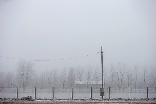 MIKAELA MACKENZIE / WINNIPEG FREE PRESS

Frosty power lines in Morris on Monday, Dec. 4, 2023. For JS hydro story.
Winnipeg Free Press 2023