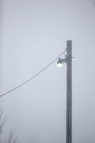 MIKAELA MACKENZIE / WINNIPEG FREE PRESS

Frosty power lines in Morris on Monday, Dec. 4, 2023. For JS hydro story.
Winnipeg Free Press 2023