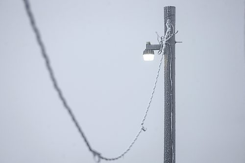 MIKAELA MACKENZIE / WINNIPEG FREE PRESS

Frosty power lines in Morris on Monday, Dec. 4, 2023. For JS hydro story.
Winnipeg Free Press 2023