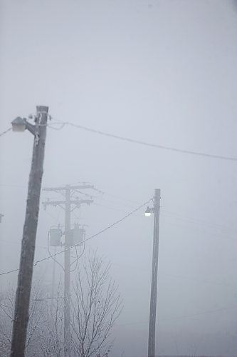 MIKAELA MACKENZIE / WINNIPEG FREE PRESS

Frosty power lines in Morris on Monday, Dec. 4, 2023. For JS hydro story.
Winnipeg Free Press 2023