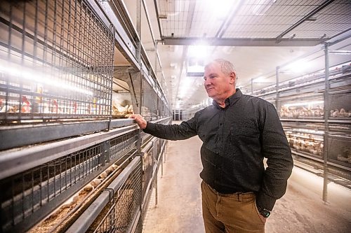 MIKAELA MACKENZIE / WINNIPEG FREE PRESS

Kurt Siemens in the pullet barn, which holds 21,000 two-and-a-half week old chicks (and is kept at the warmest temperature), near Rosenort on Monday, Dec. 4, 2023. Siemens is one of many farmers asking the federal government for an exemption on carbon pricing for natural gas and propane used on the farm &#x460;for him, that would mean an exemption on the carbon price heating his chicken barns. For JS carbon tax story.
Winnipeg Free Press 2023