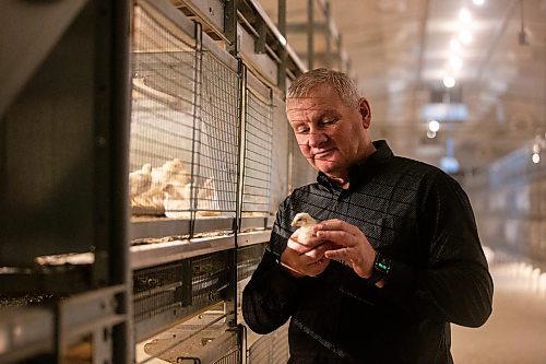 MIKAELA MACKENZIE / WINNIPEG FREE PRESS

Kurt Siemens in the pullet barn, which holds 21,000 two-and-a-half week old chicks (and is kept at the warmest temperature), near Rosenort on Monday, Dec. 4, 2023. Siemens is one of many farmers asking the federal government for an exemption on carbon pricing for natural gas and propane used on the farm &#x460;for him, that would mean an exemption on the carbon price heating his chicken barns. For JS carbon tax story.
Winnipeg Free Press 2023