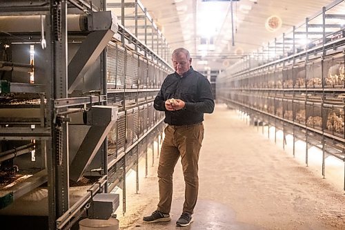 MIKAELA MACKENZIE / WINNIPEG FREE PRESS

Kurt Siemens in the pullet barn, which holds 21,000 two-and-a-half week old chicks (and is kept at the warmest temperature), near Rosenort on Monday, Dec. 4, 2023. Siemens is one of many farmers asking the federal government for an exemption on carbon pricing for natural gas and propane used on the farm &#x460;for him, that would mean an exemption on the carbon price heating his chicken barns. For JS carbon tax story.
Winnipeg Free Press 2023