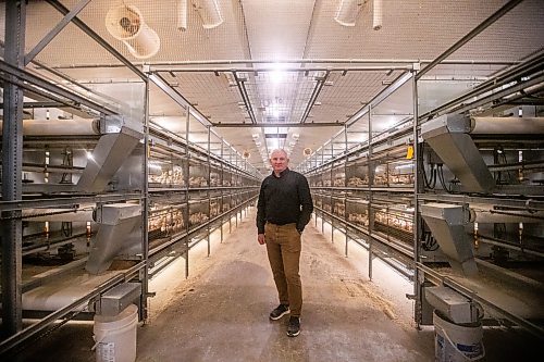 MIKAELA MACKENZIE / WINNIPEG FREE PRESS

Kurt Siemens in the pullet barn, which holds 21,000 two-and-a-half week old chicks (and is kept at the warmest temperature), near Rosenort on Monday, Dec. 4, 2023. Siemens is one of many farmers asking the federal government for an exemption on carbon pricing for natural gas and propane used on the farm &#x460;for him, that would mean an exemption on the carbon price heating his chicken barns. For JS carbon tax story.
Winnipeg Free Press 2023