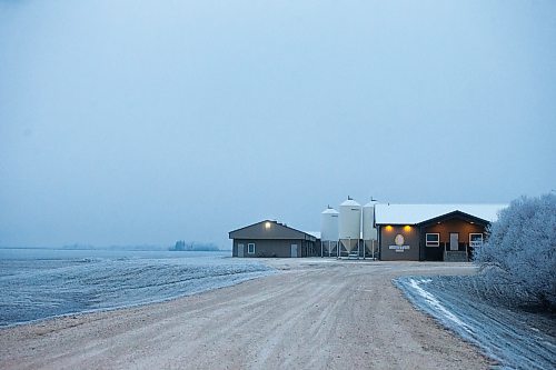 MIKAELA MACKENZIE / WINNIPEG FREE PRESS

Siemens Farm, near Rosenort, on Monday, Dec. 4, 2023. Kurt Siemens is one of many farmers asking the federal government for an exemption on carbon pricing for natural gas and propane used on the farm &#x460;for him, that would mean an exemption on the carbon price heating his chicken barns. For JS carbon tax story.
Winnipeg Free Press 2023