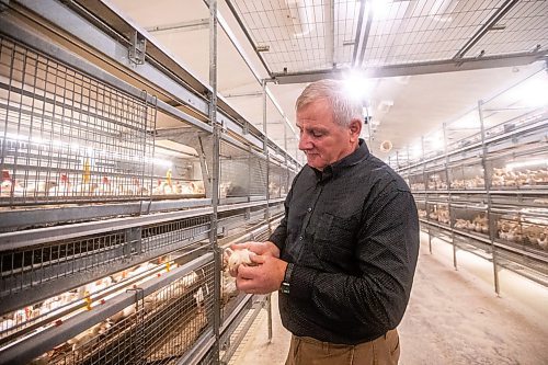 MIKAELA MACKENZIE / WINNIPEG FREE PRESS

Kurt Siemens in the pullet barn, which holds 21,000 two-and-a-half week old chicks (and is kept at the warmest temperature), near Rosenort on Monday, Dec. 4, 2023. Siemens is one of many farmers asking the federal government for an exemption on carbon pricing for natural gas and propane used on the farm &#x460;for him, that would mean an exemption on the carbon price heating his chicken barns. For JS carbon tax story.
Winnipeg Free Press 2023