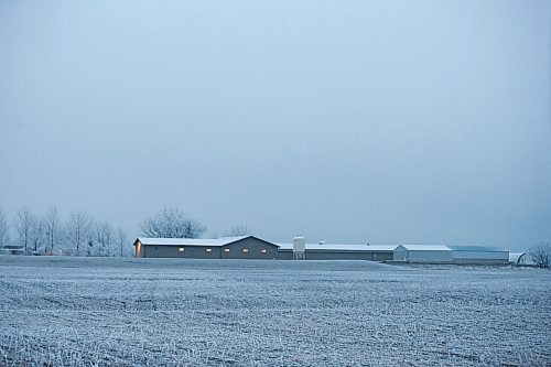 MIKAELA MACKENZIE / WINNIPEG FREE PRESS

Siemens Farm, near Rosenort, on Monday, Dec. 4, 2023. Kurt Siemens is one of many farmers asking the federal government for an exemption on carbon pricing for natural gas and propane used on the farm &#x460;for him, that would mean an exemption on the carbon price heating his chicken barns. For JS carbon tax story.
Winnipeg Free Press 2023