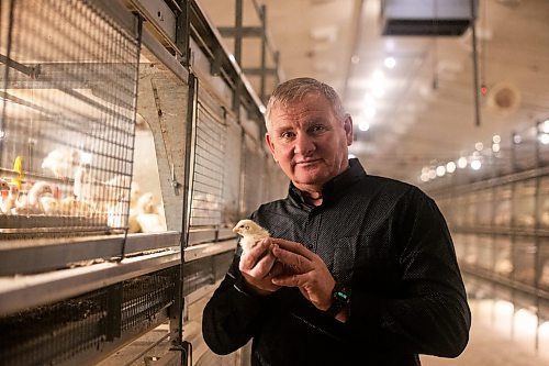 MIKAELA MACKENZIE / WINNIPEG FREE PRESS

Kurt Siemens in the pullet barn, which holds 21,000 two-and-a-half week old chicks (and is kept at the warmest temperature), near Rosenort on Monday, Dec. 4, 2023. Siemens is one of many farmers asking the federal government for an exemption on carbon pricing for natural gas and propane used on the farm &#x460;for him, that would mean an exemption on the carbon price heating his chicken barns. For JS carbon tax story.
Winnipeg Free Press 2023