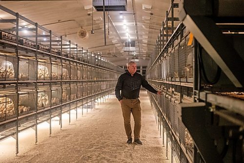 MIKAELA MACKENZIE / WINNIPEG FREE PRESS

Kurt Siemens in the pullet barn, which holds 21,000 two-and-a-half week old chicks (and is kept at the warmest temperature), near Rosenort on Monday, Dec. 4, 2023. Siemens is one of many farmers asking the federal government for an exemption on carbon pricing for natural gas and propane used on the farm &#x460;for him, that would mean an exemption on the carbon price heating his chicken barns. For JS carbon tax story.
Winnipeg Free Press 2023