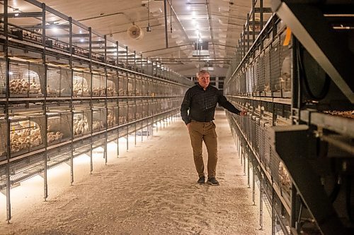 MIKAELA MACKENZIE / WINNIPEG FREE PRESS

Kurt Siemens in the pullet barn, which holds 21,000 two-and-a-half week old chicks (and is kept at the warmest temperature), near Rosenort on Monday, Dec. 4, 2023. Siemens is one of many farmers asking the federal government for an exemption on carbon pricing for natural gas and propane used on the farm &#x460;for him, that would mean an exemption on the carbon price heating his chicken barns. For JS carbon tax story.
Winnipeg Free Press 2023