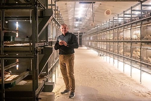 MIKAELA MACKENZIE / WINNIPEG FREE PRESS

Kurt Siemens in the pullet barn, which holds 21,000 two-and-a-half week old chicks (and is kept at the warmest temperature), near Rosenort on Monday, Dec. 4, 2023. Siemens is one of many farmers asking the federal government for an exemption on carbon pricing for natural gas and propane used on the farm &#x460;for him, that would mean an exemption on the carbon price heating his chicken barns. For JS carbon tax story.
Winnipeg Free Press 2023