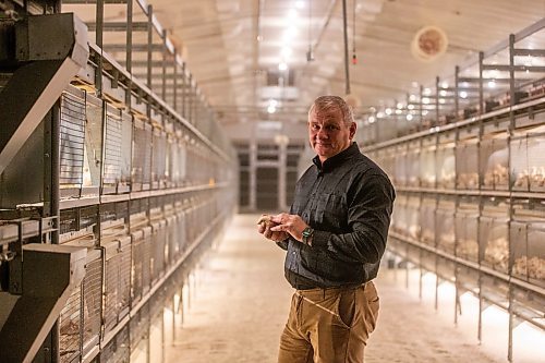 MIKAELA MACKENZIE / WINNIPEG FREE PRESS

Kurt Siemens in the pullet barn, which holds 21,000 two-and-a-half week old chicks (and is kept at the warmest temperature), near Rosenort on Monday, Dec. 4, 2023. Siemens is one of many farmers asking the federal government for an exemption on carbon pricing for natural gas and propane used on the farm &#x460;for him, that would mean an exemption on the carbon price heating his chicken barns. For JS carbon tax story.
Winnipeg Free Press 2023