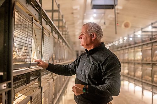 MIKAELA MACKENZIE / WINNIPEG FREE PRESS

Kurt Siemens in the pullet barn, which holds 21,000 two-and-a-half week old chicks (and is kept at the warmest temperature), near Rosenort on Monday, Dec. 4, 2023. Siemens is one of many farmers asking the federal government for an exemption on carbon pricing for natural gas and propane used on the farm &#x460;for him, that would mean an exemption on the carbon price heating his chicken barns. For JS carbon tax story.
Winnipeg Free Press 2023