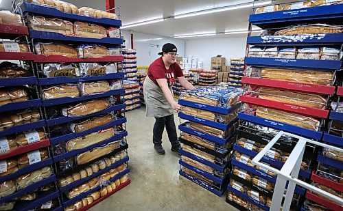 RUTH BONNEVILLE / WINNIPEG FREE PRESS

INTERSECTION - St.Pierre Bakery

Photo of staff member, Jasmine Roy, moving racks of packaged loaves of bread ready for shipping.  

Joe Gagne, owner Boulangerie St-Pierre Bakery, in  St-Pierre-Jolys (about 30 minutes south of the Mint) 

Story: This is for an Intersection piece on the St-Pierre Bakery, which has been cranking out loaves of bread, cinnamon buns and tourtiere for close to a century. 

Joe, the present owner, took over from his parents a few years ago; his dad started working there in the '80s, and bought the bakery in 1992 (owner previous to the Gagnes, a fellow named Norm, had it from the mid-60s to the early '90s, 
(Photo of all three in the original building with staff working in the background)

They turn out as many as 1,800 loaves of bread an hour, it's a hopping place. Also photos of pastries, storefront - customers, workers and outside shot of building.  

See Dave's story. 

Dec 5th,  2023