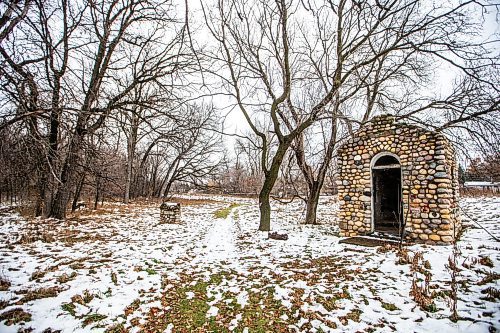 MIKAELA MACKENZIE / WINNIPEG FREE PRESS

The forest near Lemay Avenue on Monday, Nov. 6, 2023. The 22 acres of land is slated to be developed.
Winnipeg Free Press 2023.