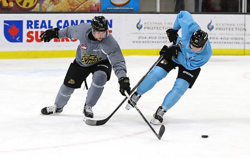 Brandon Wheat Kings defenceman Tre Fouquette (5) battles Nolan Flamand (91) for the puck during practice at Westoba Place on Thursday. (Perry Bergson/The Brandon Sun)
Dec. 7, 2023