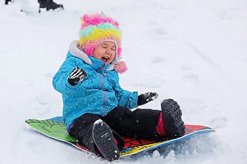 08122023
Elaina Byron laughs as she sleds in the fresh snow at Rideau Park on Friday after overnight snowfall blanketed Brandon in the white stuff. 
(Tim Smith/The Brandon Sun)