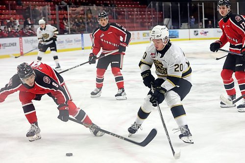 08122023
Hayden Wheddon #20 of the Brandon Wheat Kings jousts for the puck with Kalem Parker #8 of the Moose Jaw Warriors during WHL action at Westoba Place on Friday evening.
(Tim Smith/The Brandon Sun)