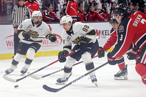 08122023
Matteo Michels #88 of the Brandon Wheat Kings plays the puck during WHL action against the Moose Jaw Warriors at Westoba Place on Friday evening.
(Tim Smith/The Brandon Sun)