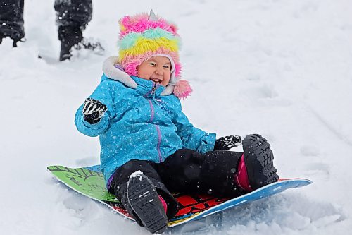 Elaina Byron laughs as she sleds in the fresh snow at Rideau Park on Friday after overnight snowfall blanketed Brandon in the white stuff. 
(Tim Smith/The Brandon Sun)
